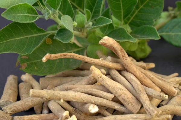Az Ashwagandha szerepe a szorongás csökkentésében
